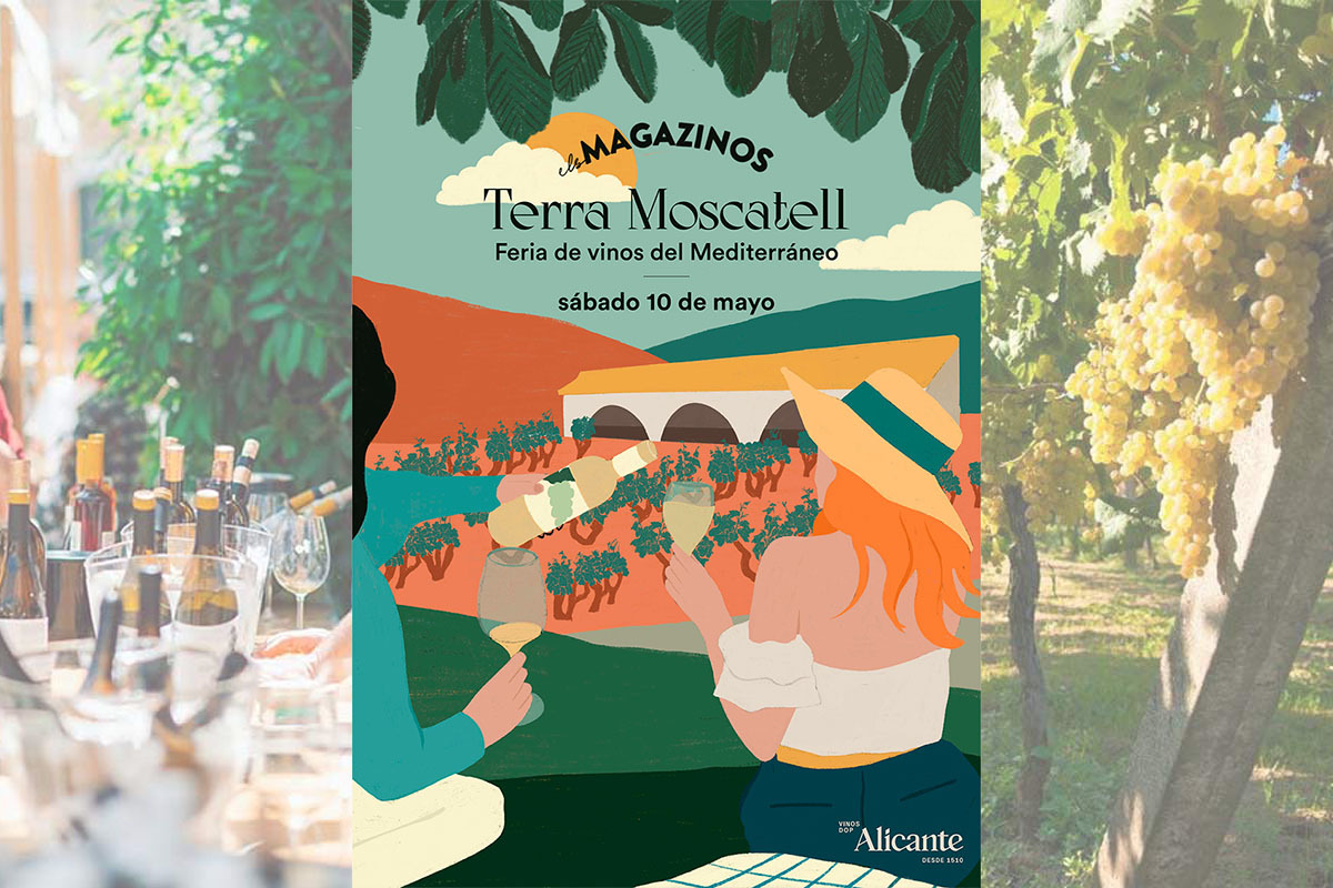 Terra moscatell 25