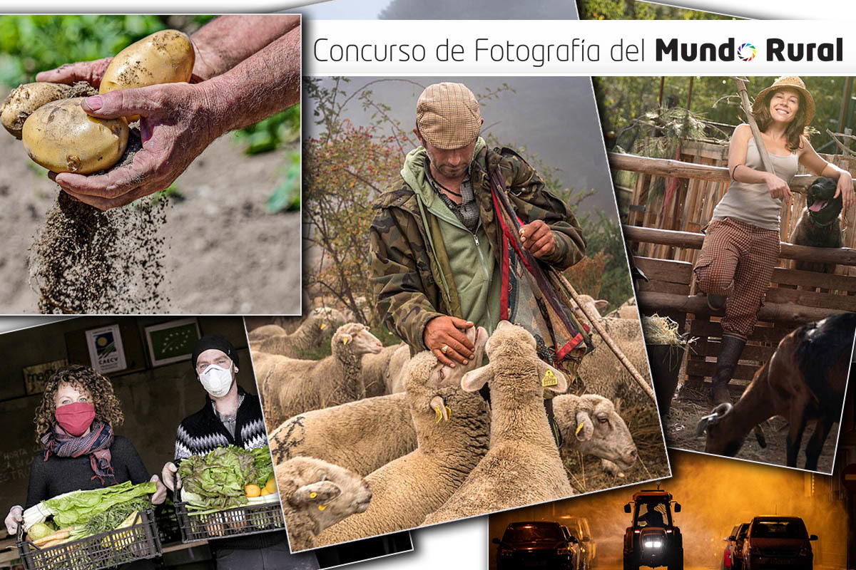 Concurso fotografico mundo rural 00